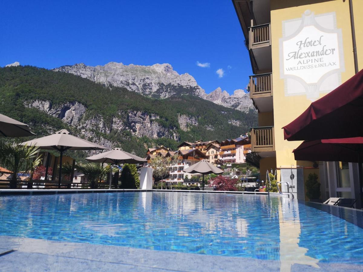 Alexander Hotel Alpine Wellness Dolomites モルヴェーノ エクステリア 写真